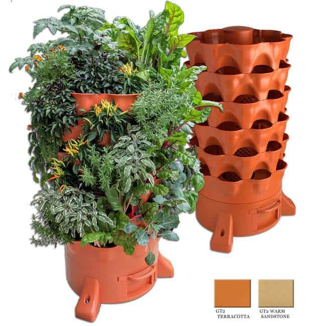 Vertical Gardening Hacks to Increase Your House