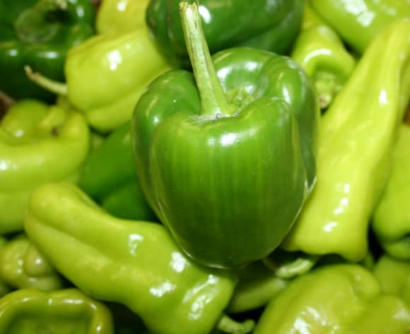 Beginning Peppers from Seeds – House Backyard Pleasure